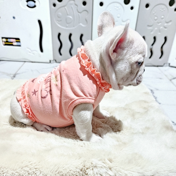 Top Paw Puppy Dog Shirt - Picture 3 of 10